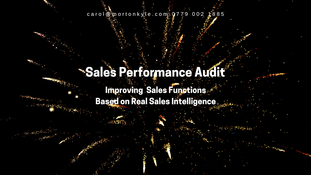 Sales Performance Audit - designed to uncover untapped sales potential