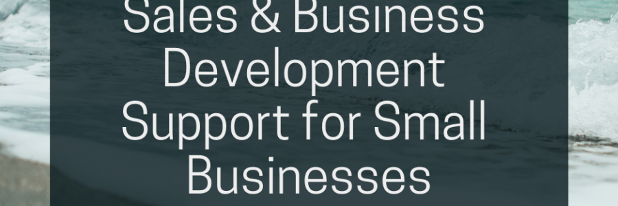 Small Business Development Agency – Sales & Business Development