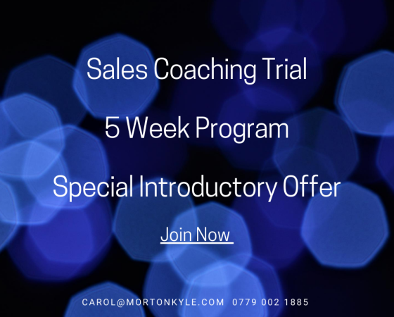Business Development Coaching for Ambitious B2B Sales Professionals