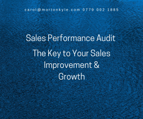 Sales Audit – Sales Improvement Uncovered