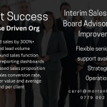 Board Advisor on Sales Improvement and Growth | Interim Sales Director