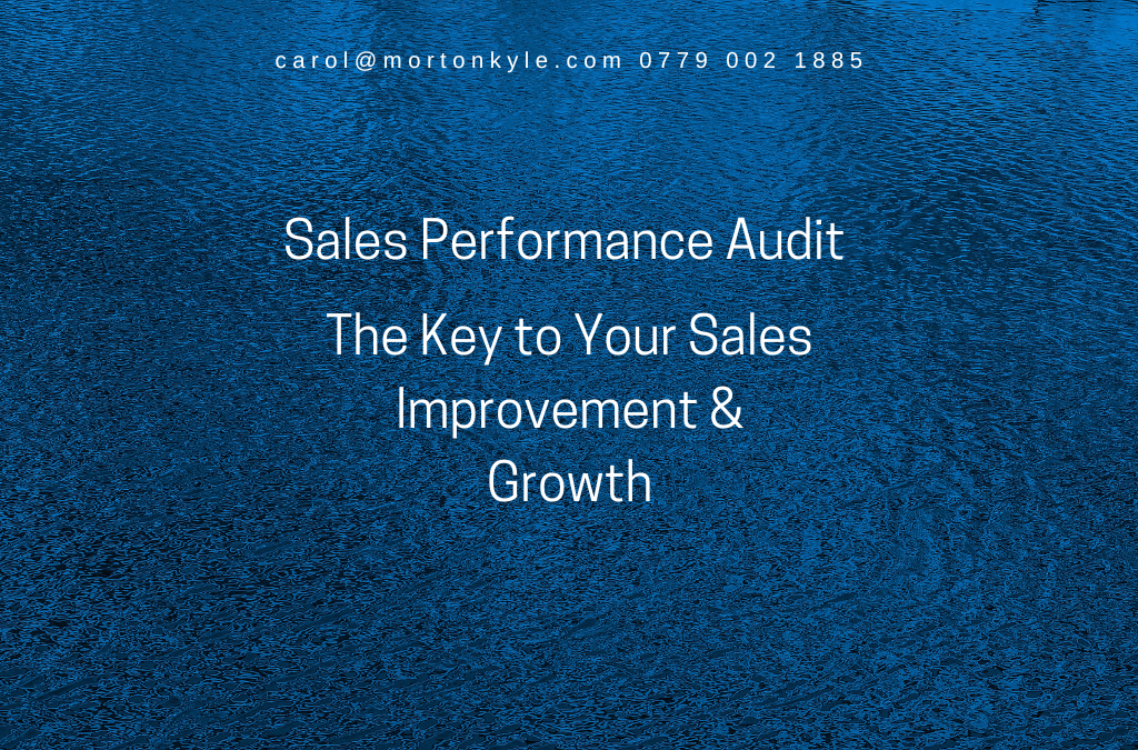 Sales Audit Benefits - Conduct a sales audit to accelerate sales growth and increase sustainability
