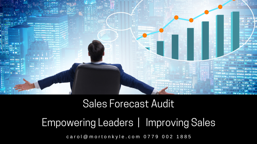 Sales audit benefits the decision making in all organisations - helping leaders plan for sales growth, investment, funding and extrnal support