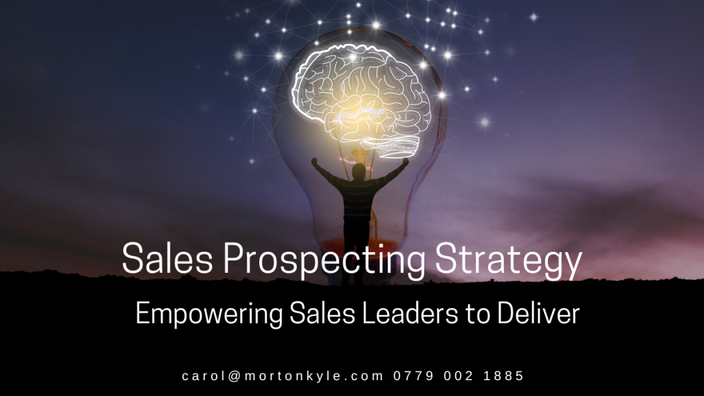 Sales Prospecting Strategy is designed to reduced risk and speed up results