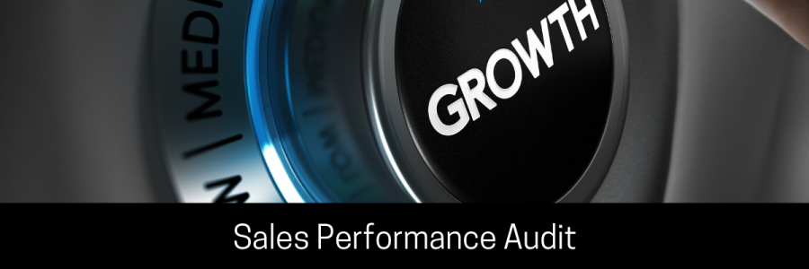 Unlocking Success: A Comprehensive Guide to the 21 Stages of Sales Performance Audit