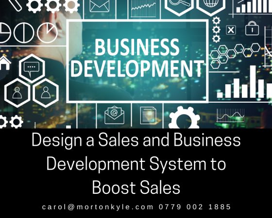 Design a Sales and Business Development System to Deliver Accelerated Sales Growth